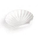 coquille st jacques porcelaine blanche